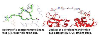 peptidomimetic ligand